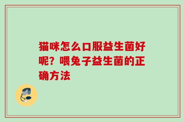 猫咪怎么口服益生菌好呢？喂兔子益生菌的正确方法