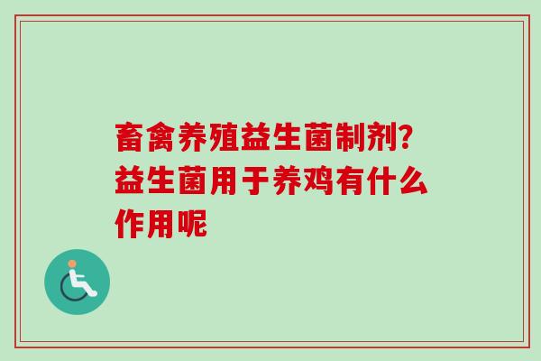 畜禽养殖益生菌制剂？益生菌用于养鸡有什么作用呢
