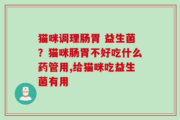 猫咪调理肠胃 益生菌？猫咪肠胃不好吃什么药管用,给猫咪吃益生菌有用