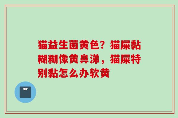 猫益生菌黄色？猫屎黏糊糊像黄鼻涕，猫屎特别黏怎么办软黄