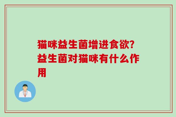 猫咪益生菌增进？益生菌对猫咪有什么作用