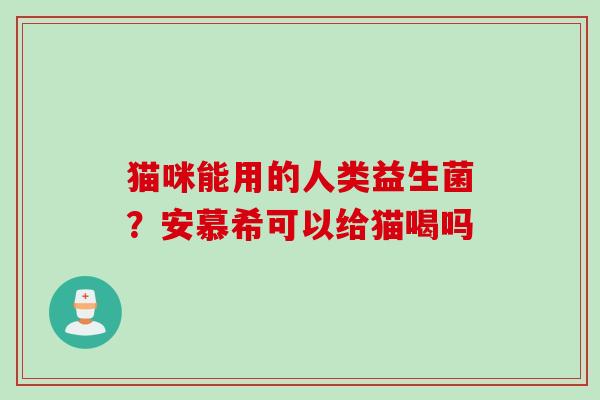 猫咪能用的人类益生菌？安慕希可以给猫喝吗
