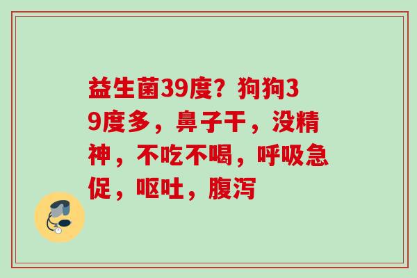 益生菌39度?狗狗39度多,鼻子干,没精神,不吃不喝,急促,, 益生菌39度?狗狗39度多,鼻子干,没精神,不吃不喝,急促,,