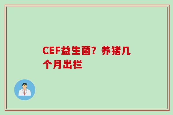 CEF益生菌？养猪几个月出栏