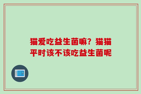 猫爱吃益生菌嘛?猫猫平时该不该吃益生菌呢 猫爱吃益生菌嘛?猫猫平时该不该吃益生菌呢