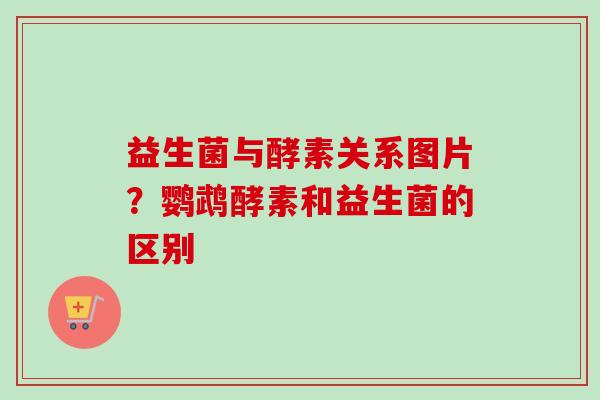 益生菌与酵素关系图片?鹦鹉酵素和益生菌的区别 益生菌与酵素关系图片?鹦鹉酵素和益生菌的区别
