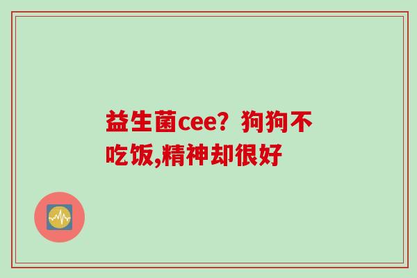 益生菌cee?狗狗不吃饭,精神却很好 益生菌cee?狗狗不吃饭,精神却很好