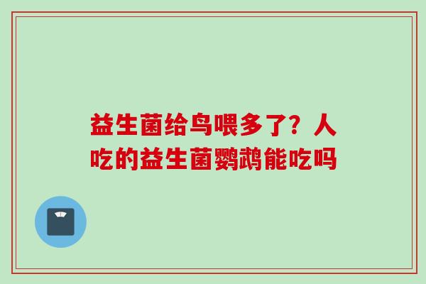 益生菌给鸟喂多了?人吃的益生菌鹦鹉能吃吗 益生菌给鸟喂多了?人吃的益生菌鹦鹉能吃吗