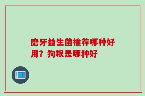 磨牙益生菌推荐哪种好用？狗粮是哪种好