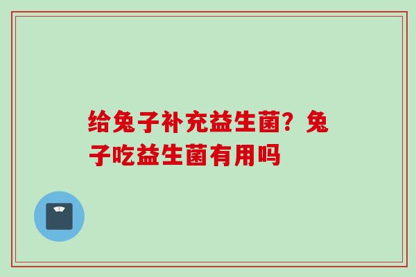给兔子补充益生菌？兔子吃益生菌有用吗