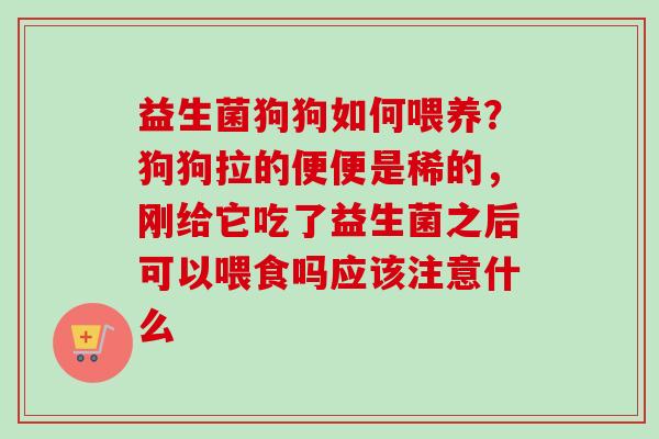 益生菌狗狗如何喂养?狗狗拉的便便是稀的,刚给它吃了益生菌之后可以喂食吗应该注意什么 益生菌狗狗如何喂养?狗狗拉的便便是稀的,刚给它吃了益生菌之后可以喂食吗应该注意什么