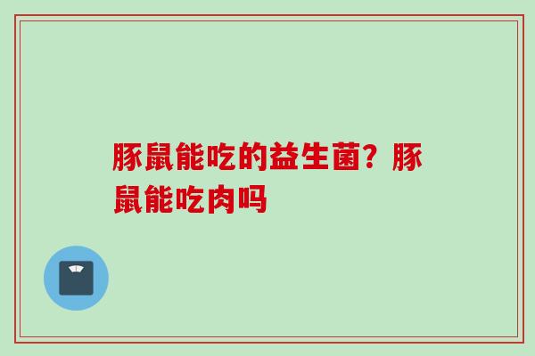豚鼠能吃的益生菌？豚鼠能吃肉吗
