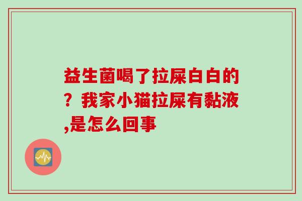 益生菌喝了拉屎白白的？我家小猫拉屎有黏液,是怎么回事