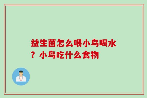 益生菌怎么喂小鸟喝水？小鸟吃什么食物