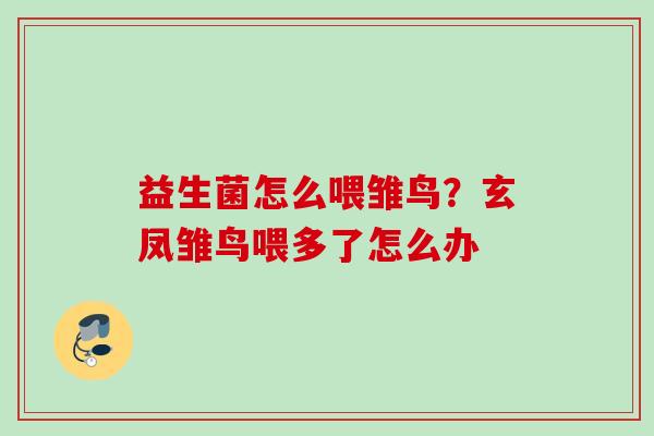 益生菌怎么喂雏鸟？玄凤雏鸟喂多了怎么办