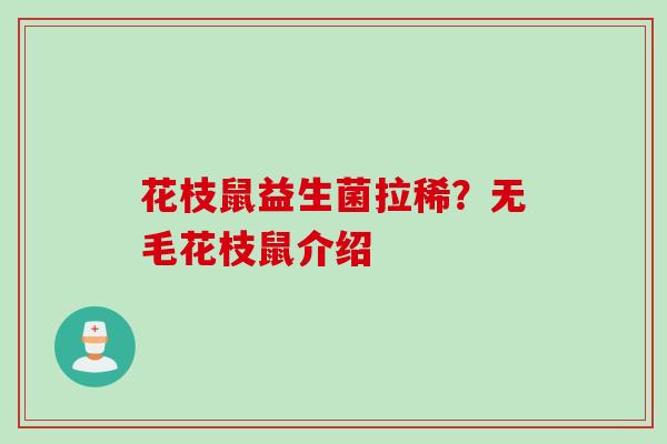 花枝鼠益生菌拉稀？无毛花枝鼠介绍