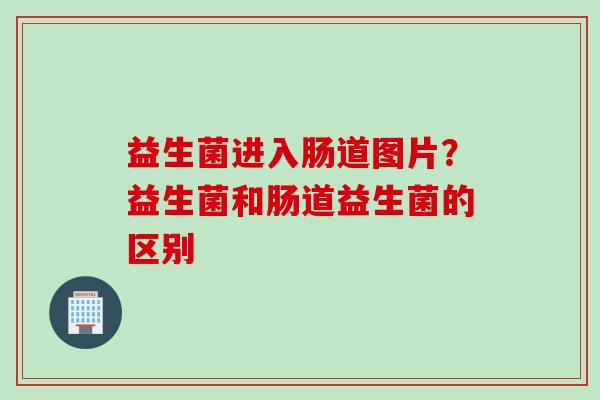 益生菌进入肠道图片？益生菌和肠道益生菌的区别