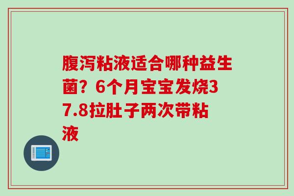 粘液适合哪种益生菌？6个月宝宝发烧37.8拉肚子两次带粘液