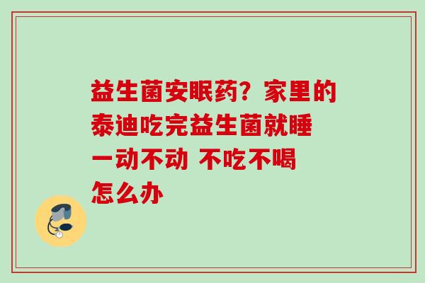 益生菌安眠药?家里的泰迪吃完益生菌就睡 一动不动 不吃不喝 怎么办 益生菌安眠药?家里的泰迪吃完益生菌就睡 一动不动 不吃不喝 怎么办