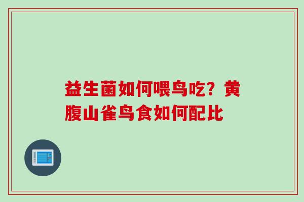 益生菌如何喂鸟吃？黄腹山雀鸟食如何配比