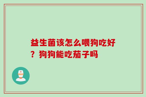 益生菌该怎么喂狗吃好？狗狗能吃茄子吗