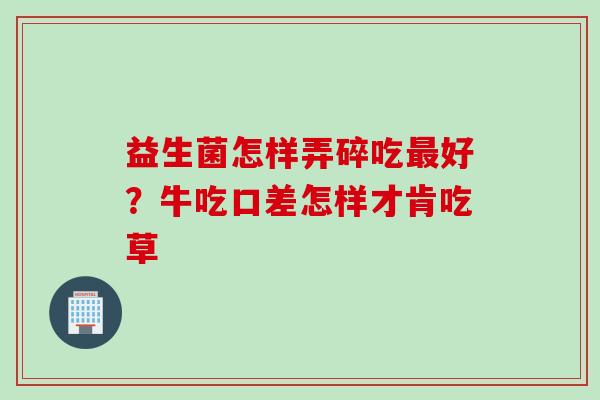 益生菌怎样弄碎吃好?牛吃口差怎样才肯吃草 益生菌怎样弄碎吃好?牛吃口差怎样才肯吃草