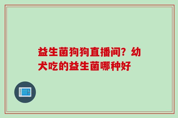益生菌狗狗直播间?幼犬吃的益生菌哪种好 益生菌狗狗直播间?幼犬吃的益生菌哪种好
