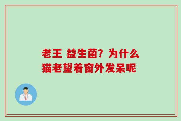 老王 益生菌？为什么猫老望着窗外发呆呢