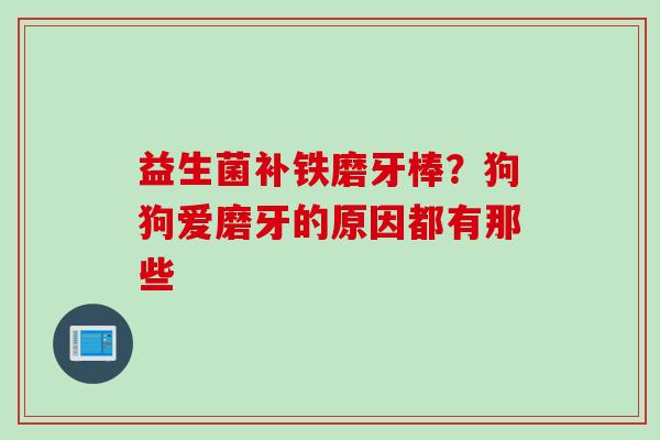 益生菌补铁磨牙棒?狗狗爱磨牙的原因都有那些 益生菌补铁磨牙棒?狗狗爱磨牙的原因都有那些
