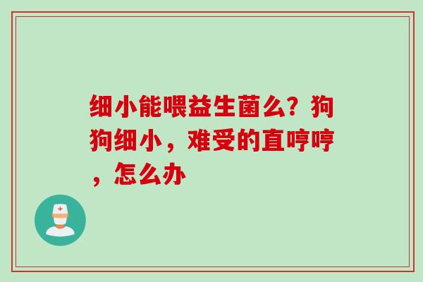 细小能喂益生菌么?狗狗细小,难受的直哼哼,怎么办 细小能喂益生菌么?狗狗细小,难受的直哼哼,怎么办