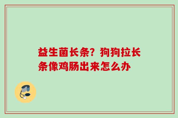 益生菌长条?狗狗拉长条像鸡肠出来怎么办 益生菌长条?狗狗拉长条像鸡肠出来怎么办