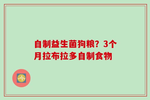 自制益生菌狗粮?3个月拉布拉多自制食物 自制益生菌狗粮?3个月拉布拉多自制食物