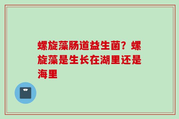 螺旋藻肠道益生菌?螺旋藻是生长在湖里还是海里 螺旋藻肠道益生菌?螺旋藻是生长在湖里还是海里