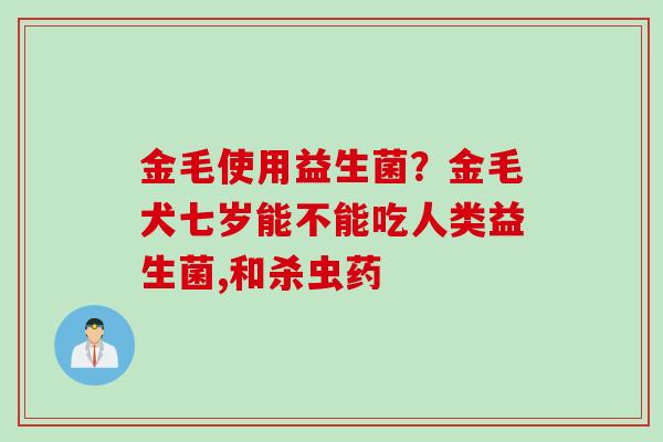 金毛使用益生菌？金毛犬七岁能不能吃人类益生菌,和杀虫药