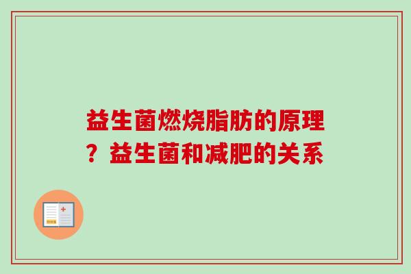 益生菌燃烧脂肪的原理？益生菌和的关系