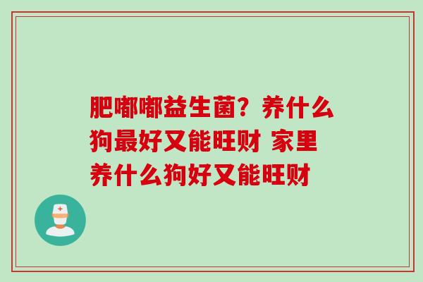 肥嘟嘟益生菌？养什么狗好又能旺财 家里养什么狗好又能旺财