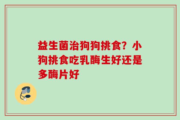 益生菌狗狗挑食？小狗挑食吃乳酶生好还是多酶片好