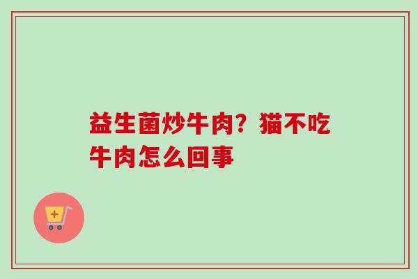 益生菌炒牛肉?猫不吃牛肉怎么回事 益生菌炒牛肉?猫不吃牛肉怎么回事