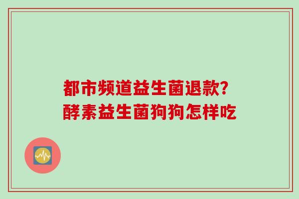 都市频道益生菌退款？酵素益生菌狗狗怎样吃