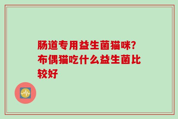 肠道专用益生菌猫咪？布偶猫吃什么益生菌比较好