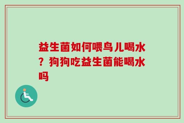 益生菌如何喂鸟儿喝水?狗狗吃益生菌能喝水吗 益生菌如何喂鸟儿喝水?狗狗吃益生菌能喝水吗