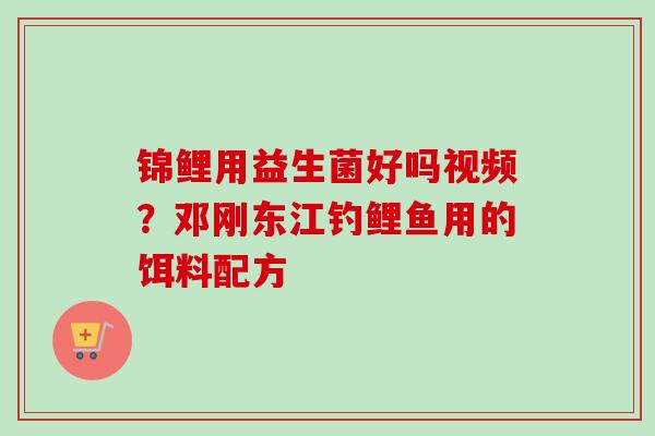 锦鲤用益生菌好吗视频?邓刚东江钓鲤鱼用的饵料配方 锦鲤用益生菌好吗视频?邓刚东江钓鲤鱼用的饵料配方