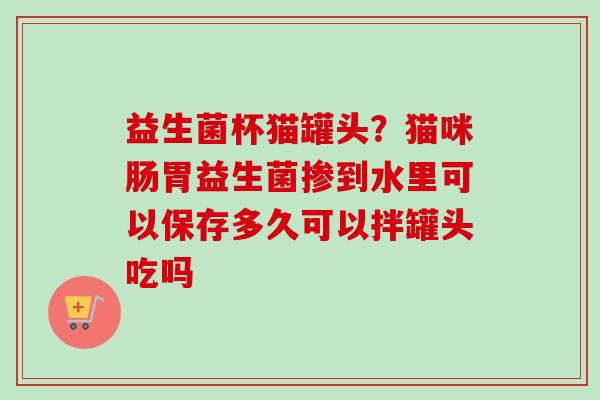 益生菌杯猫罐头?猫咪肠胃益生菌掺到水里可以保存多久可以拌罐头吃吗 益生菌杯猫罐头?猫咪肠胃益生菌掺到水里可以保存多久可以拌罐头吃吗