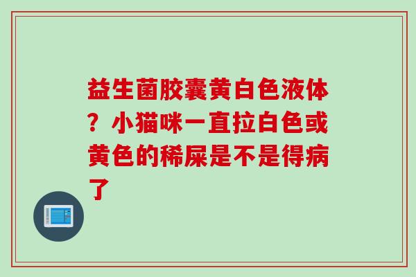 益生菌胶囊黄白色液体?小猫咪一直拉白色或黄色的稀屎是不是得了 益生菌胶囊黄白色液体?小猫咪一直拉白色或黄色的稀屎是不是得了