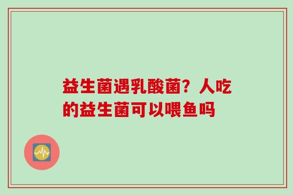 益生菌遇乳酸菌?人吃的益生菌可以喂鱼吗 益生菌遇乳酸菌?人吃的益生菌可以喂鱼吗