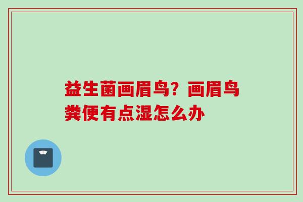 益生菌画眉鸟?画眉鸟粪便有点湿怎么办 益生菌画眉鸟?画眉鸟粪便有点湿怎么办