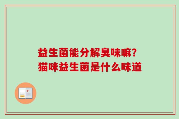 益生菌能分解臭味嘛?猫咪益生菌是什么味道 益生菌能分解臭味嘛?猫咪益生菌是什么味道