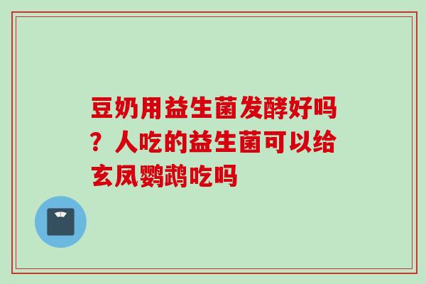 豆奶用益生菌发酵好吗？人吃的益生菌可以给玄凤鹦鹉吃吗