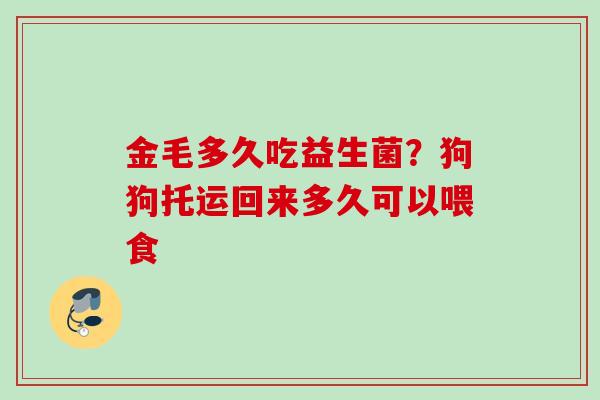 金毛多久吃益生菌?狗狗托运回来多久可以喂食 金毛多久吃益生菌?狗狗托运回来多久可以喂食