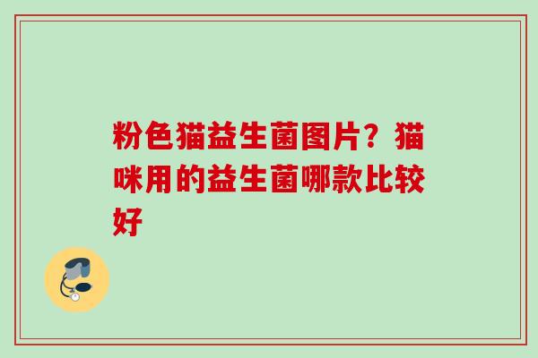 粉色猫益生菌图片?猫咪用的益生菌哪款比较好 粉色猫益生菌图片?猫咪用的益生菌哪款比较好